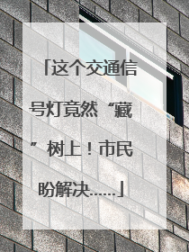 这个交通信号灯竟然“藏”树上！市民盼解决……