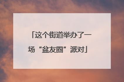 这个街道举办了一场“盆友圈”派对