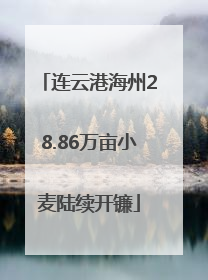连云港海州28.86万亩小麦陆续开镰