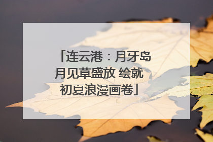 连云港：月牙岛月见草盛放 绘就初夏浪漫画卷