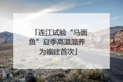 连江试验“马面鱼”夏季高温混养 为福建首次