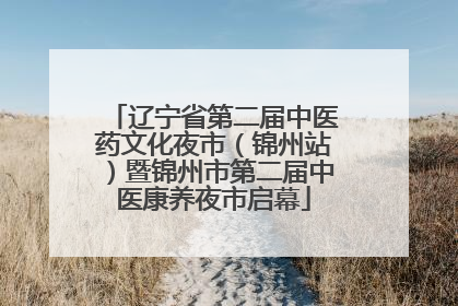 辽宁省第二届中医药文化夜市（锦州站）暨锦州市第二届中医康养夜市启幕