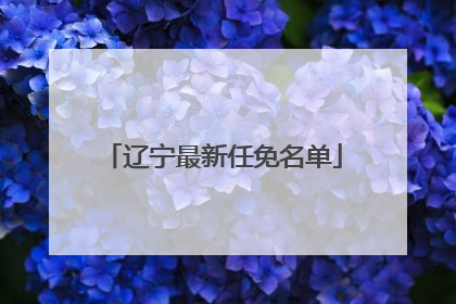 辽宁最新任免名单