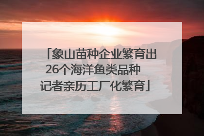 象山苗种企业繁育出26个海洋鱼类品种 记者亲历工厂化繁育