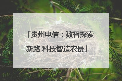 贵州电信：数智探索新路 科技智造农景