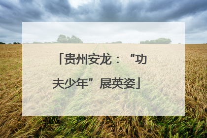 贵州安龙：“功夫少年”展英姿