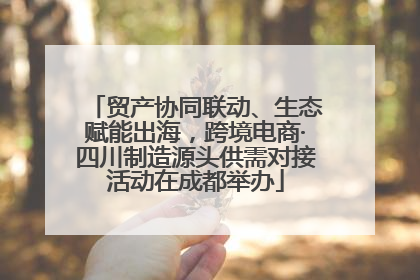贸产协同联动、生态赋能出海，跨境电商·四川制造源头供需对接活动在成都举办