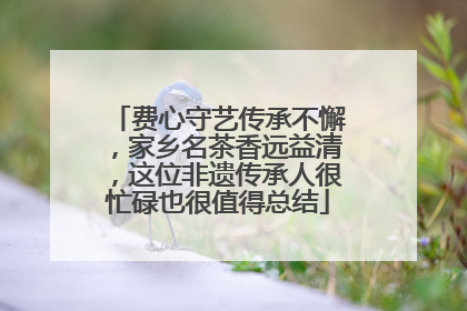 费心守艺传承不懈，家乡名茶香远益清，这位非遗传承人很忙碌也很值得总结