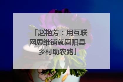 赵艳芳：用互联网思维铺就固阳县乡村助农路