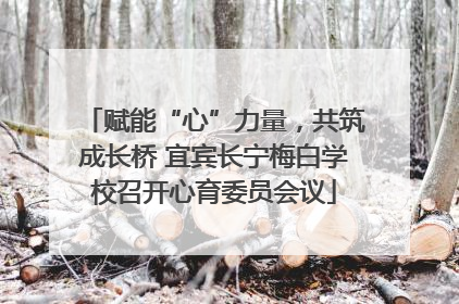 赋能“心”力量，共筑成长桥 宜宾长宁梅白学校召开心育委员会议