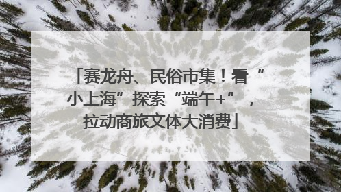 赛龙舟、民俗市集！看“小上海”探索“端午+”，拉动商旅文体大消费