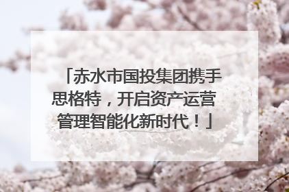 赤水市国投集团携手思格特，开启资产运营管理智能化新时代！