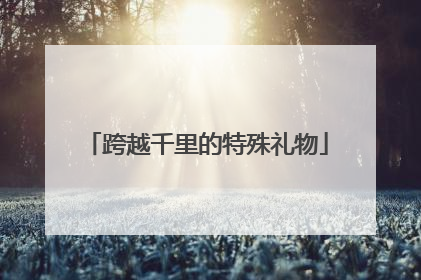 跨越千里的特殊礼物