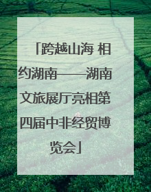 跨越山海 相约湖南——湖南文旅展厅亮相第四届中非经贸博览会
