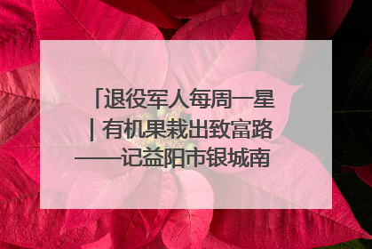 退役军人每周一星｜有机果栽出致富路——记益阳市银城南湖蔬果农民专业合作社总经理晏桂明