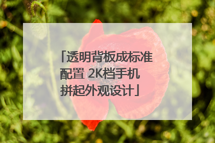透明背板成标准配置 2K档手机拼起外观设计