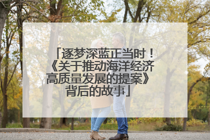 逐梦深蓝正当时！《关于推动海洋经济高质量发展的提案》背后的故事