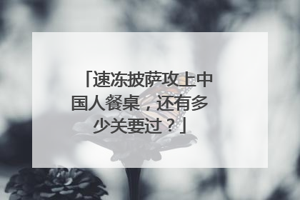 速冻披萨攻上中国人餐桌，还有多少关要过？