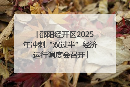 邵阳经开区2025年冲刺“双过半”经济运行调度会召开