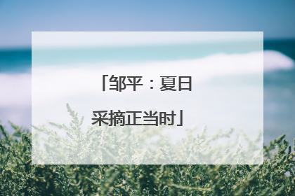 邹平：夏日采摘正当时