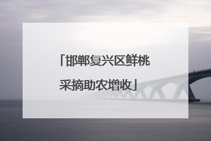 邯郸复兴区鲜桃采摘助农增收