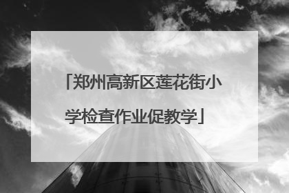 郑州高新区莲花街小学检查作业促教学