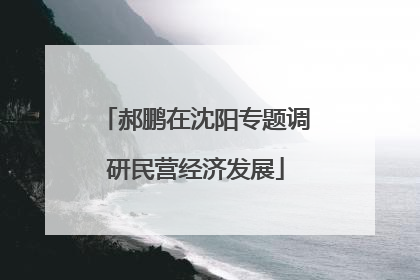 郝鹏在沈阳专题调研民营经济发展