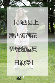 郧西县上津古镇荷花初绽邂逅夏日浪漫