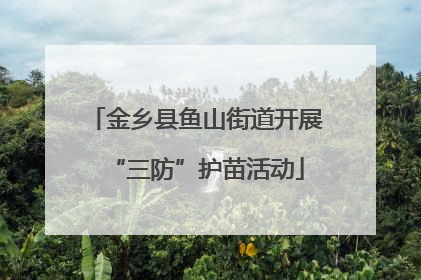 金乡县鱼山街道开展“三防”护苗活动
