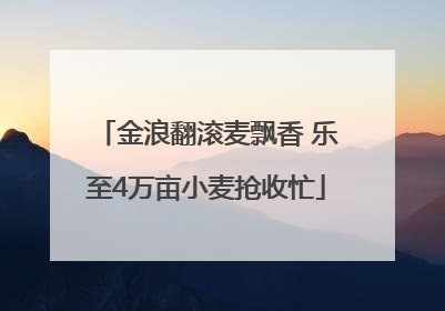 金浪翻滚麦飘香 乐至4万亩小麦抢收忙