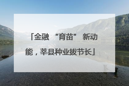 金融 “育苗” 新动能，莘县种业拔节长