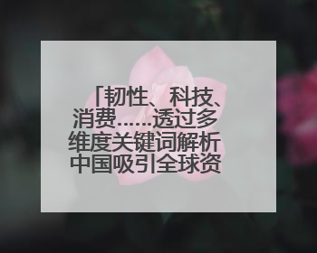 韧性、科技、消费……透过多维度关键词解析中国吸引全球资本“新磁场”