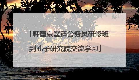 韩国京畿道公务员研修班到孔子研究院交流学习