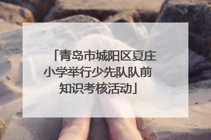 青岛市城阳区夏庄小学举行少先队队前知识考核活动
