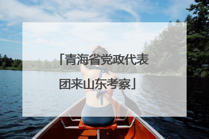 青海省党政代表团来山东考察