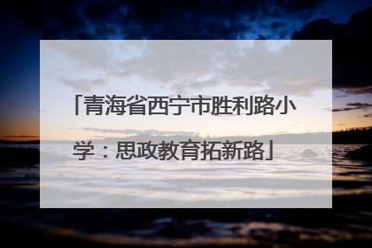 青海省西宁市胜利路小学：思政教育拓新路