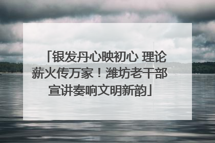 银发丹心映初心 理论薪火传万家！潍坊老干部宣讲奏响文明新韵