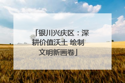 银川兴庆区：深耕价值沃土 绘制文明新画卷