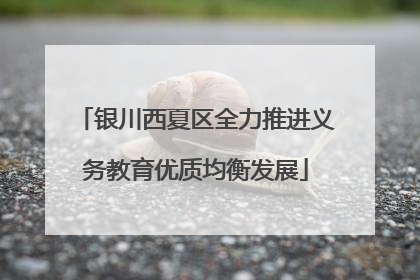 银川西夏区全力推进义务教育优质均衡发展