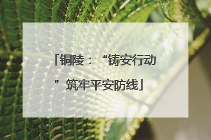 铜陵：“铸安行动”筑牢平安防线