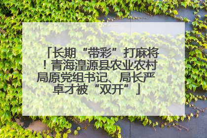 长期“带彩”打麻将！青海湟源县农业农村局原党组书记、局长严卓才被“双开”