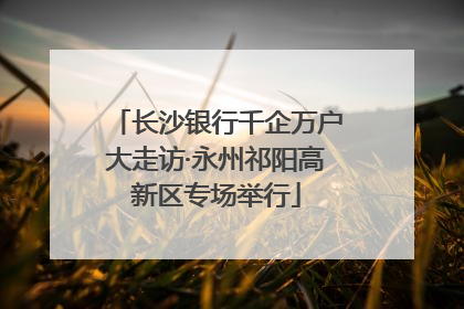 长沙银行千企万户大走访·永州祁阳高新区专场举行