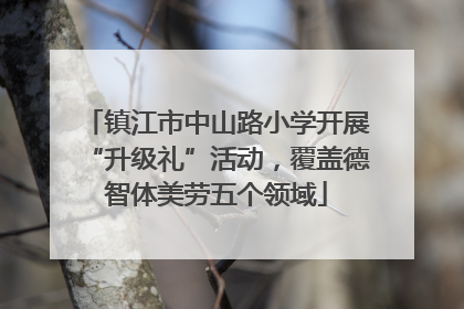 镇江市中山路小学开展“升级礼”活动，覆盖德智体美劳五个领域