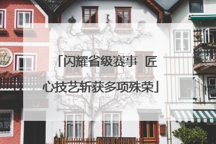 闪耀省级赛事  匠心技艺斩获多项殊荣