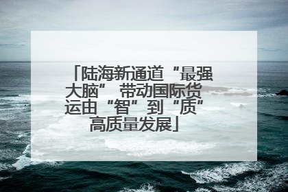 陆海新通道“最强大脑” 带动国际货运由“智”到“质”高质量发展