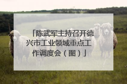 陈武军主持召开德兴市工业领域重点工作调度会（图）