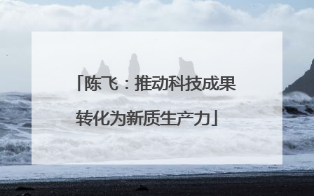陈飞：推动科技成果转化为新质生产力