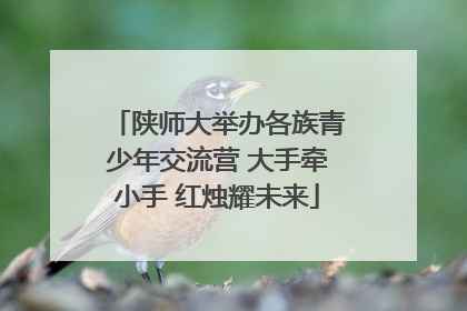 陕师大举办各族青少年交流营 大手牵小手 红烛耀未来