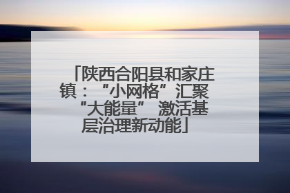 陕西合阳县和家庄镇：“小网格”汇聚“大能量” 激活基层治理新动能