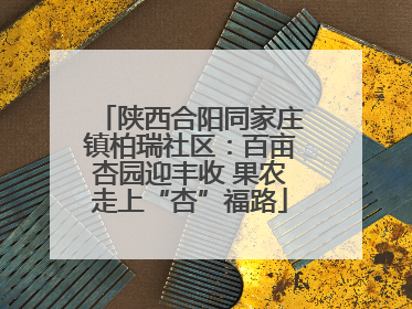 陕西合阳同家庄镇柏瑞社区：百亩杏园迎丰收 果农走上“杏”福路